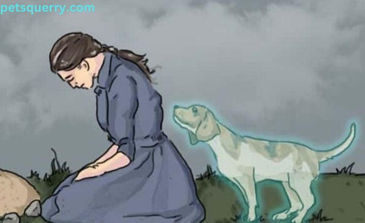 Implications for Pet Owners